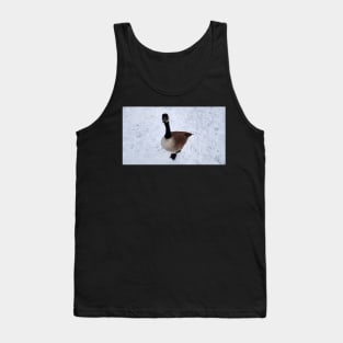 Cute Canada Goose Starring At The Camera In The Winter Tank Top